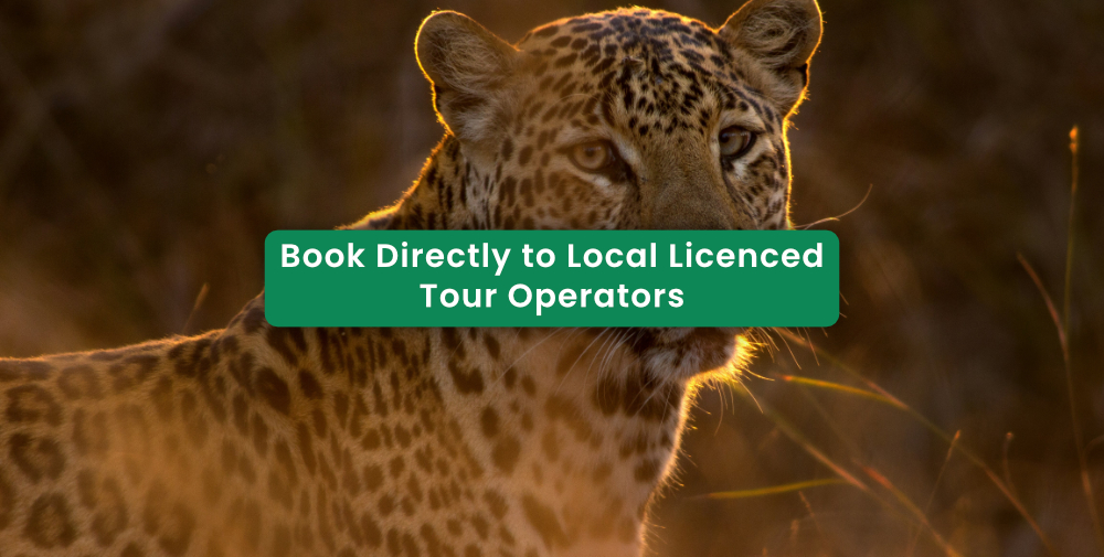 Own a Tour or Safari Business? List It Free on GoAfricaBookings